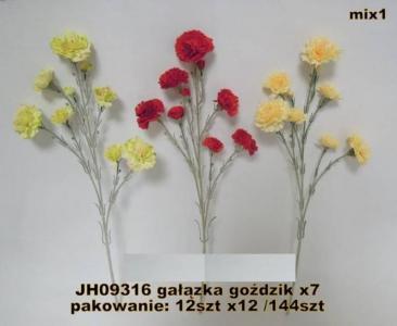 kwiaty 63